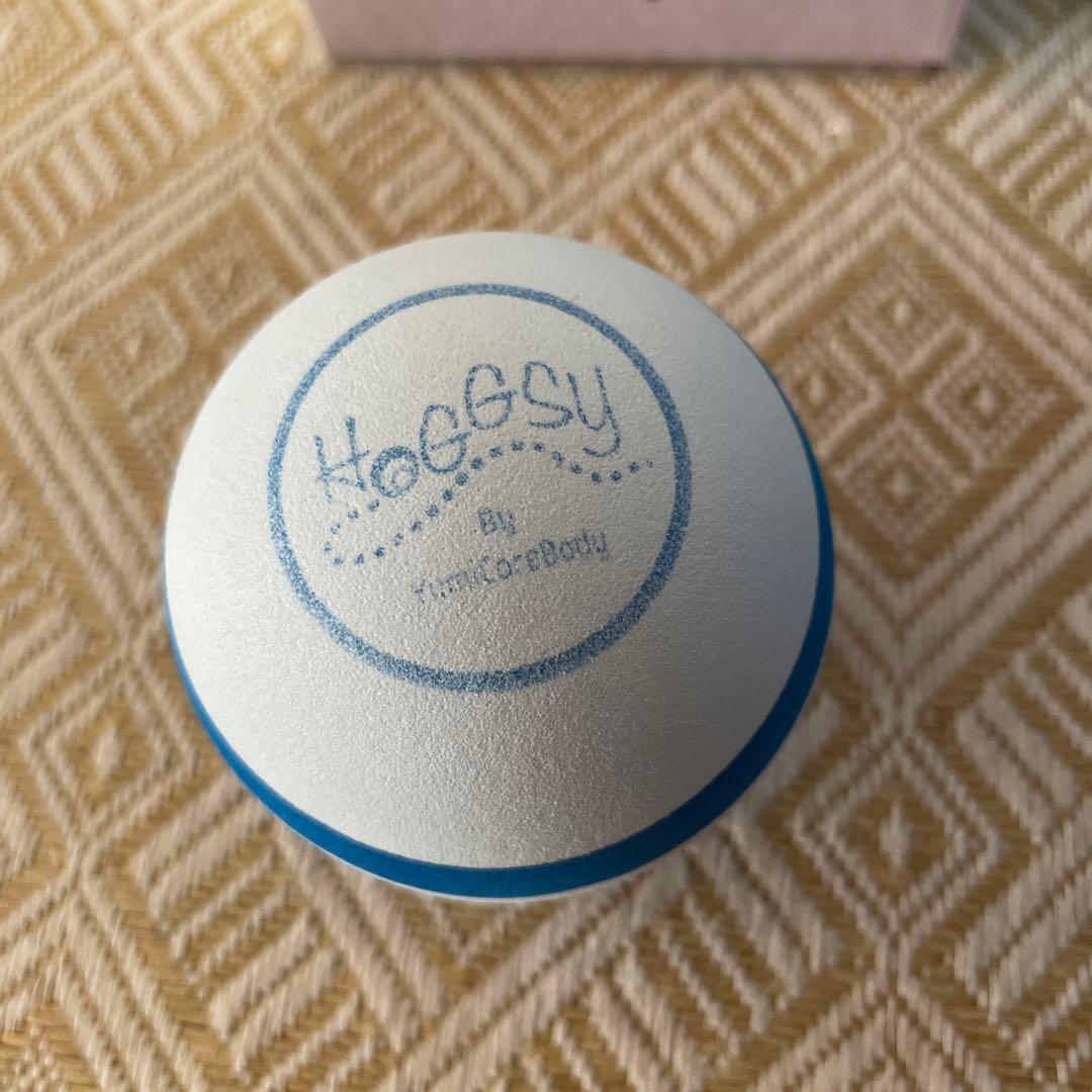 Hoggy Plus とホッグシー エクササイズボール　ユミコア　中古品