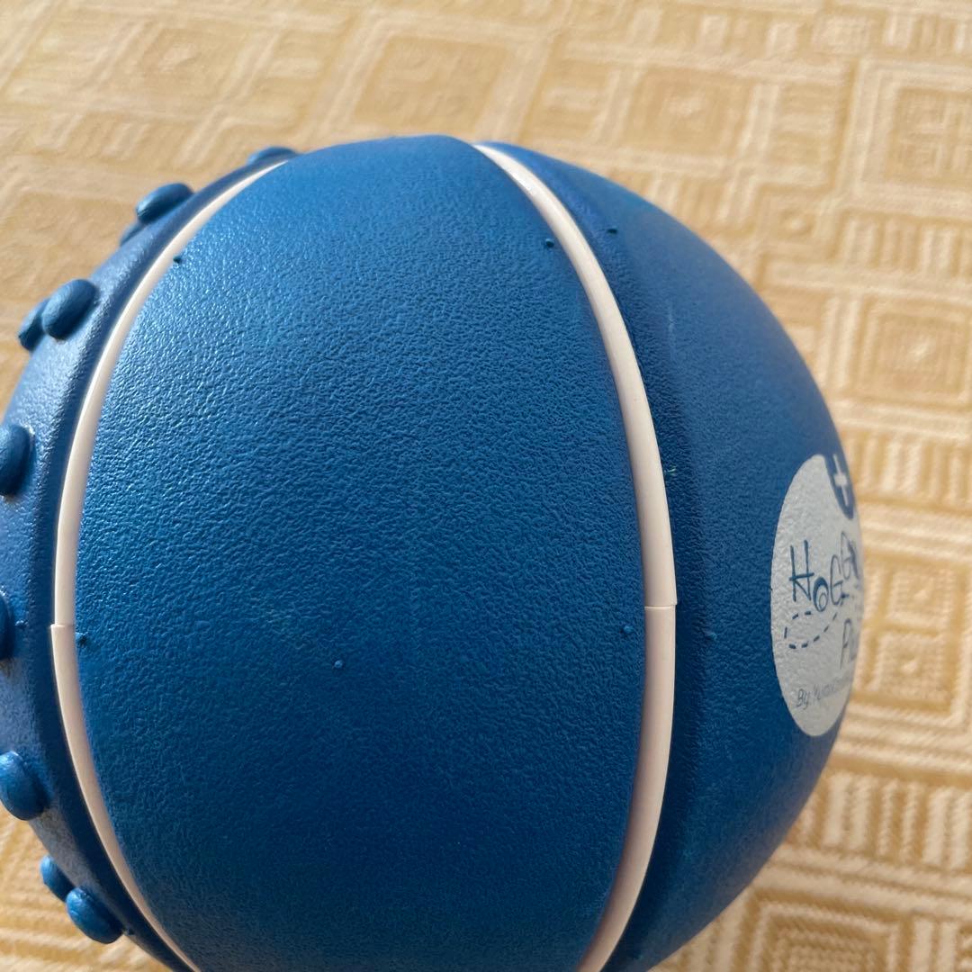 Hoggy Plus とホッグシー エクササイズボール　ユミコア　中古品