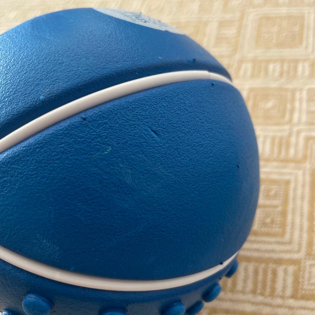 Hoggy Plus とホッグシー エクササイズボール　ユミコア　中古品