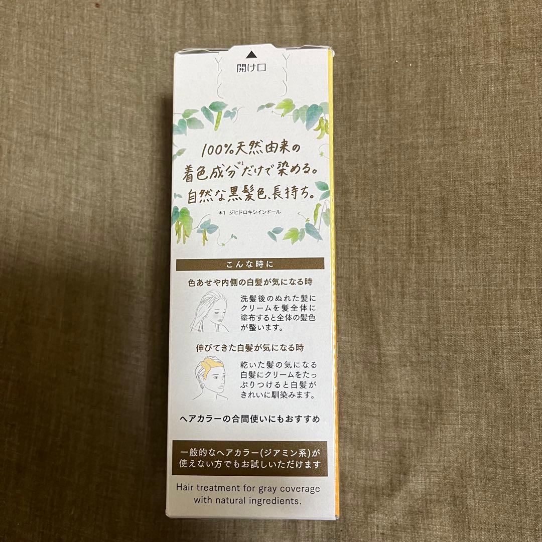 花王　ブローネ　リライズ　ナチュリラ　ナチュラルブラック　付替用