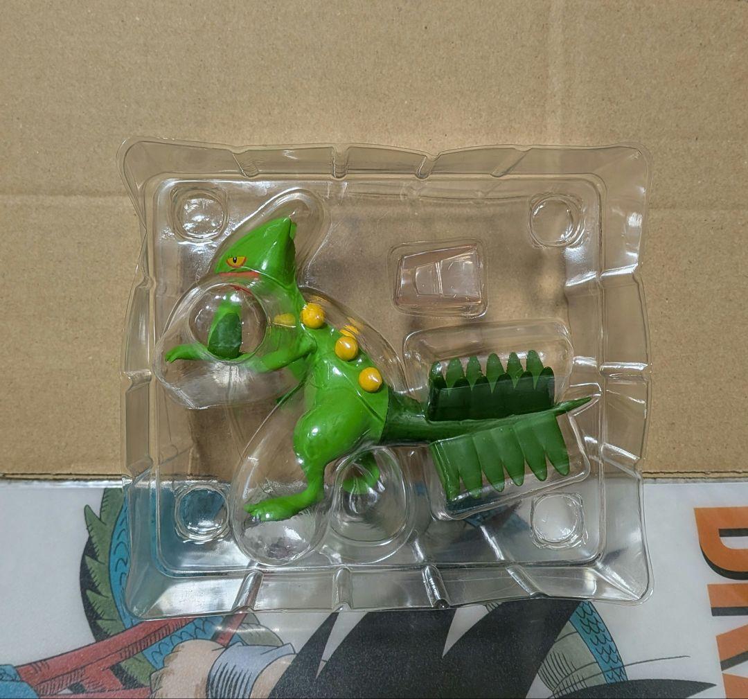 ポケモン　スケールワールド　ジュカイン　バシャーモ