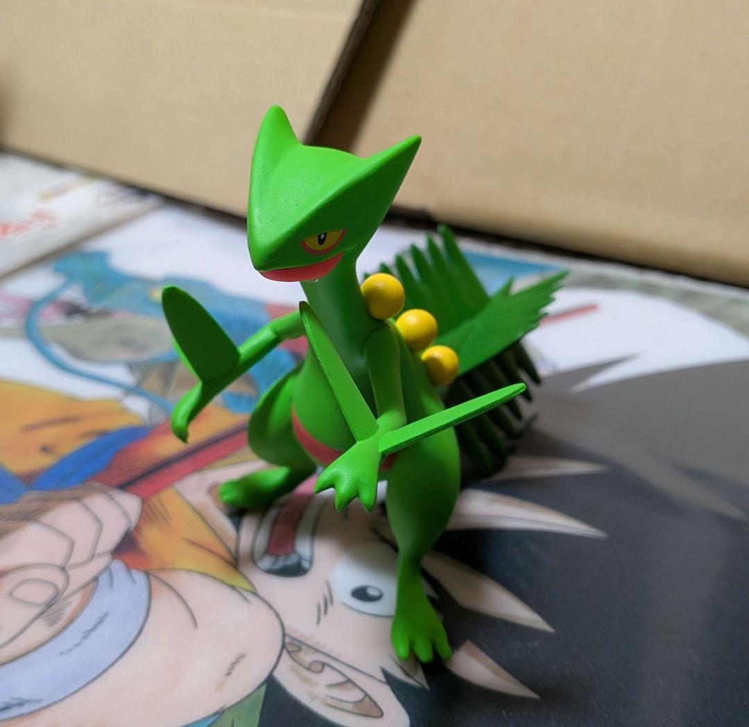 ポケモン　スケールワールド　ジュカイン　バシャーモ