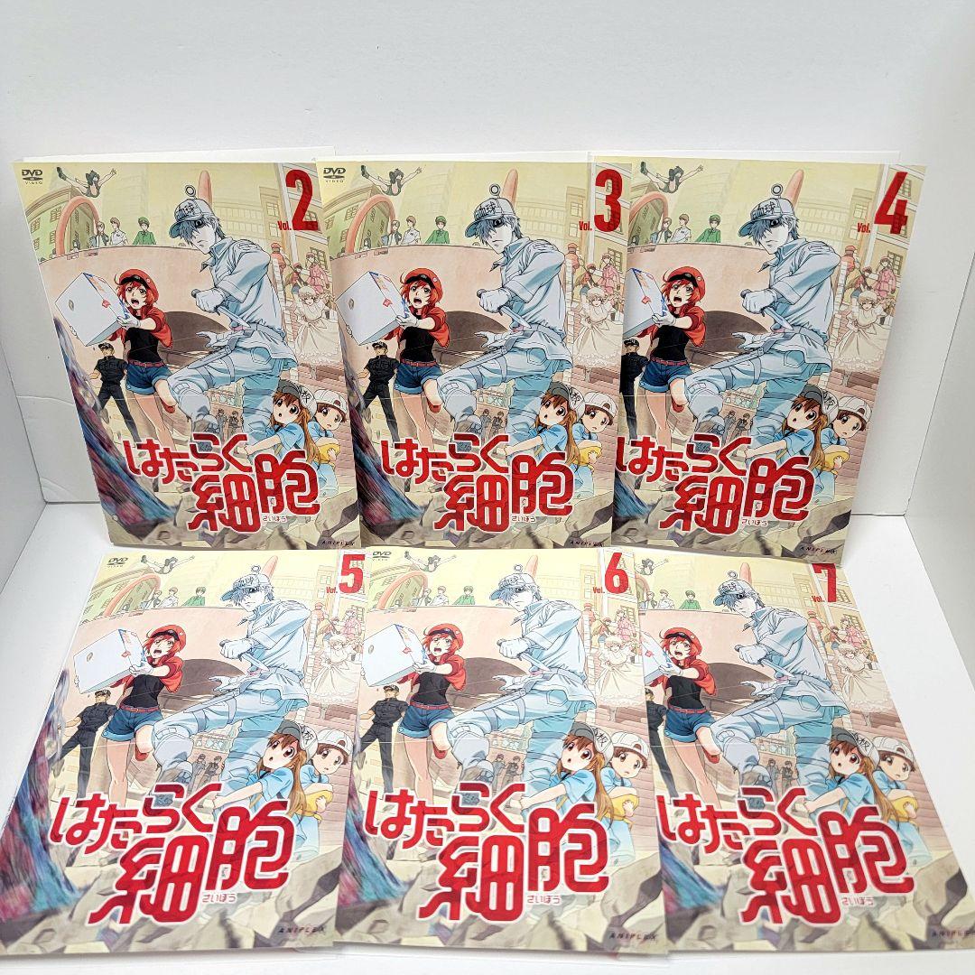 【新品ケース収納】　はたらく細胞 DVD ８巻セット　レンタル使用済み
