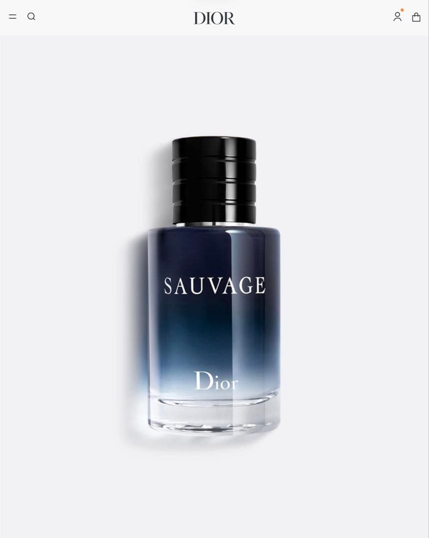 ディオール ソヴァージュ 香水セット 100ml + モバイルケース 10ml