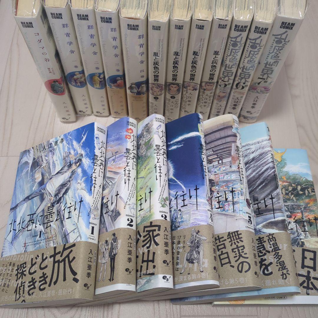 入江亜季　コダマの谷　群青学舎　乱と灰色の世界　北北西に雲と往け　計19冊