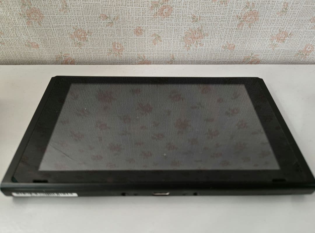 Switch本体、PROコン付き