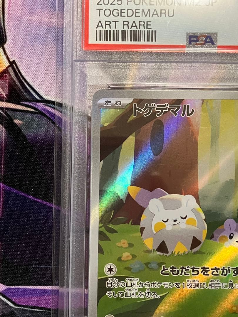 ポケカ　トゲデマル　ar psa10