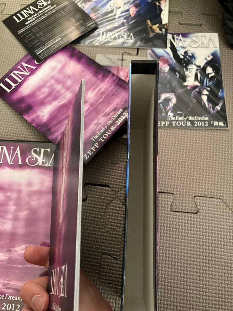 初回限定　ミニパンフ　レプリカパス付　LUNASEA dvd 「降臨」