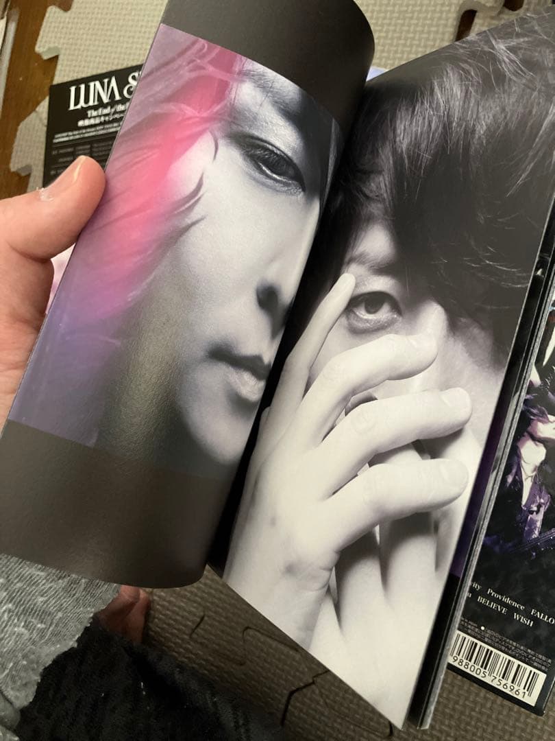 初回限定　ミニパンフ　レプリカパス付　LUNASEA dvd 「降臨」