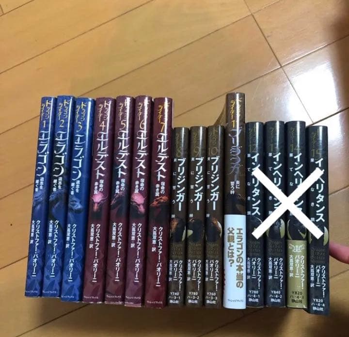 ドラゴンライダーシリーズ 11巻