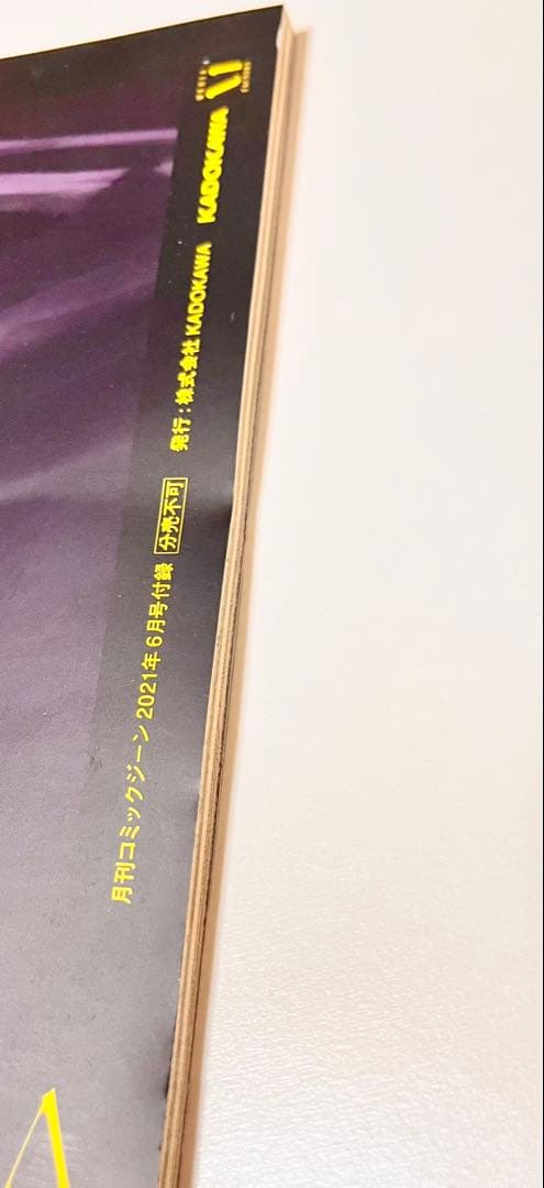 月刊コミックジーン　ミニミニジーン　ヤバい関係　2021年　6月号　特別付録