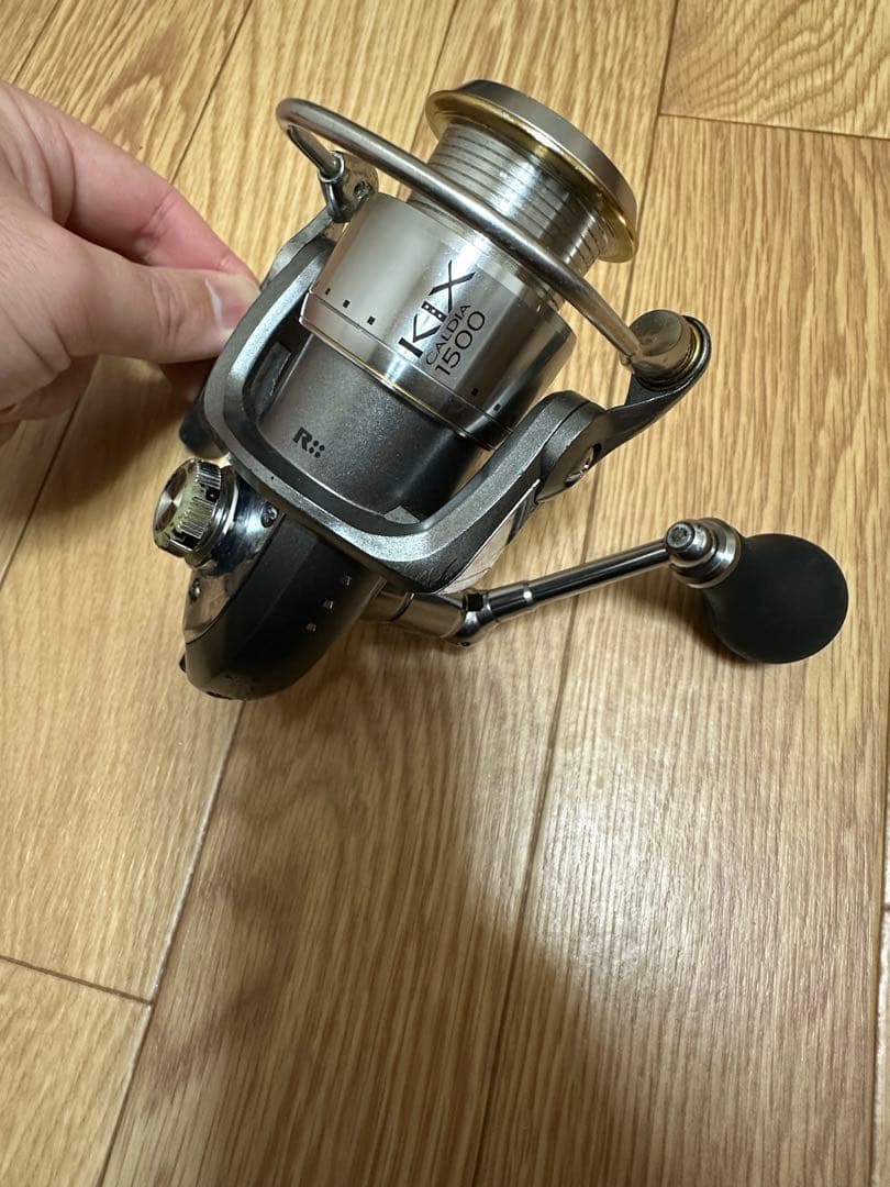 カルディアキックス　1500カスタム