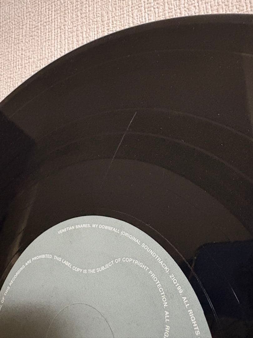 Venetian Snares – My Downfall 2LP Vinyl