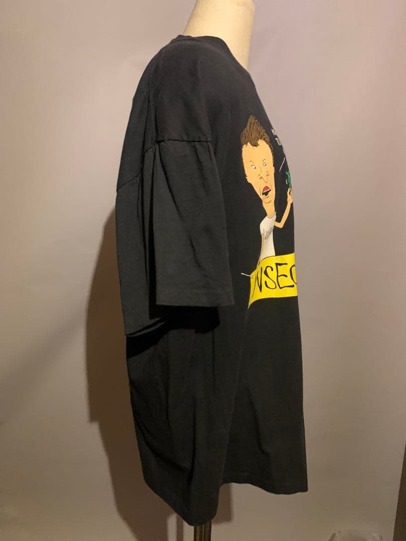 レア！ビーバス・アンド・バットヘッド　 stanley desantis