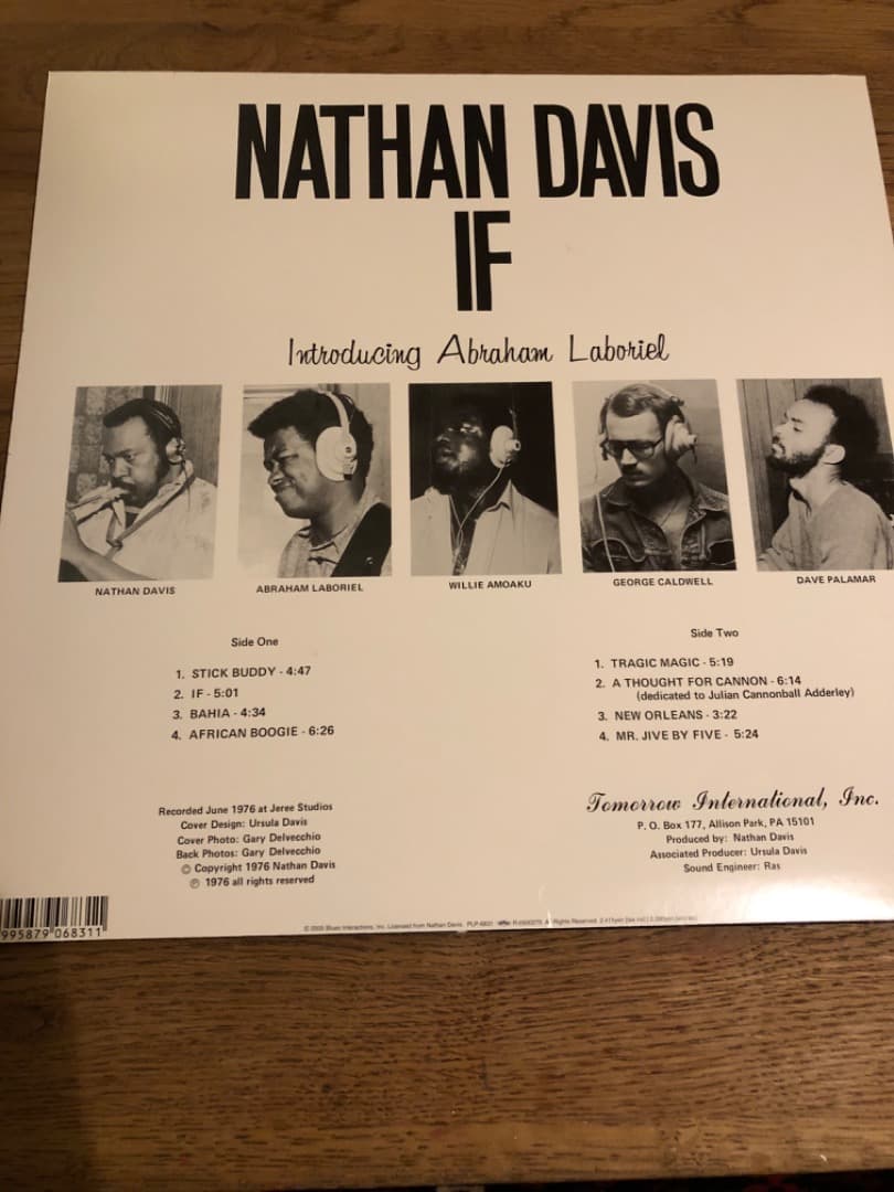 洋楽 Nathan Davis / IF