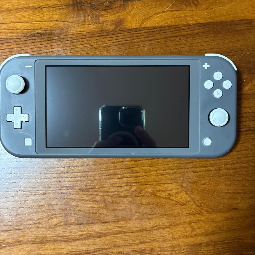 Nintendo Switch Lite グレー 本体　ケース、箱付き