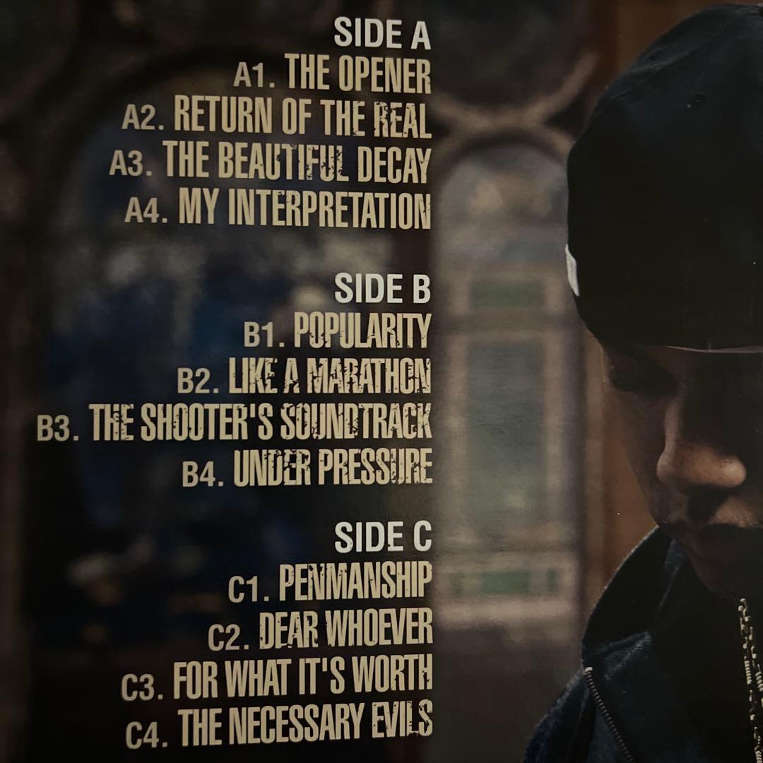 洋楽 skyzoo 2LP the salvation US org