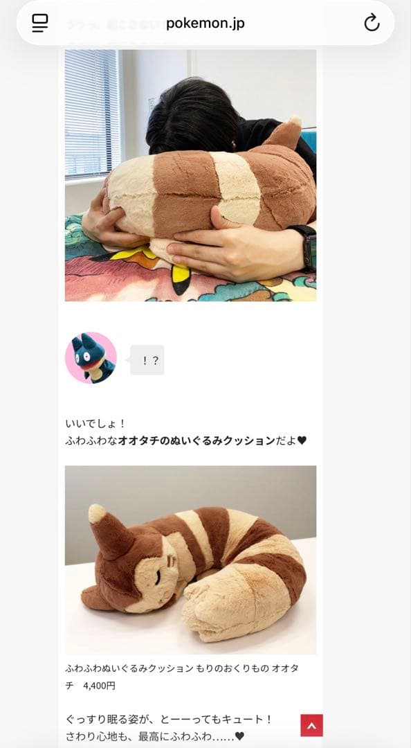 ポケモンセンター もりのおくりもの オオタチ ぬいぐるみ クッション ポケモン