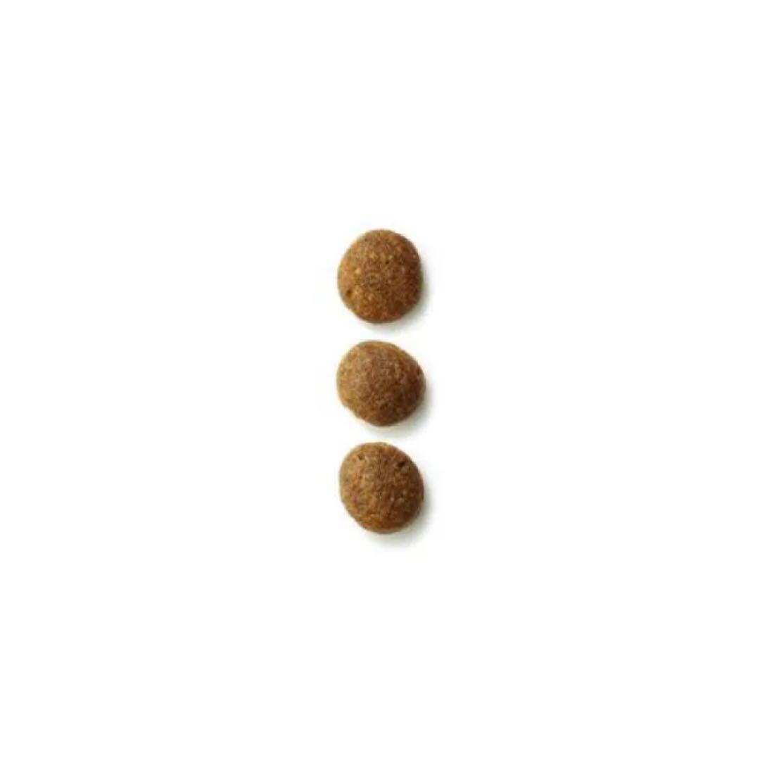  CANIN 消化器サポート 犬用食事療法食　3kg 2袋