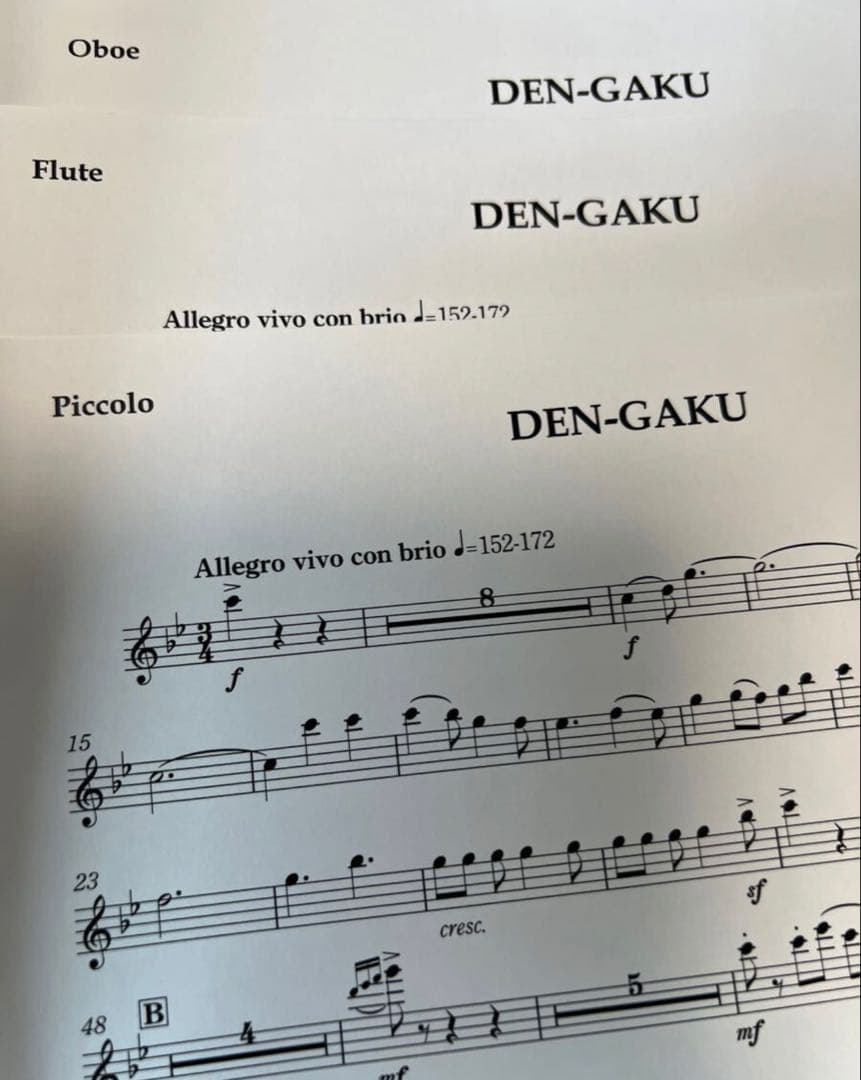 福田洋介　DEN-GAKU