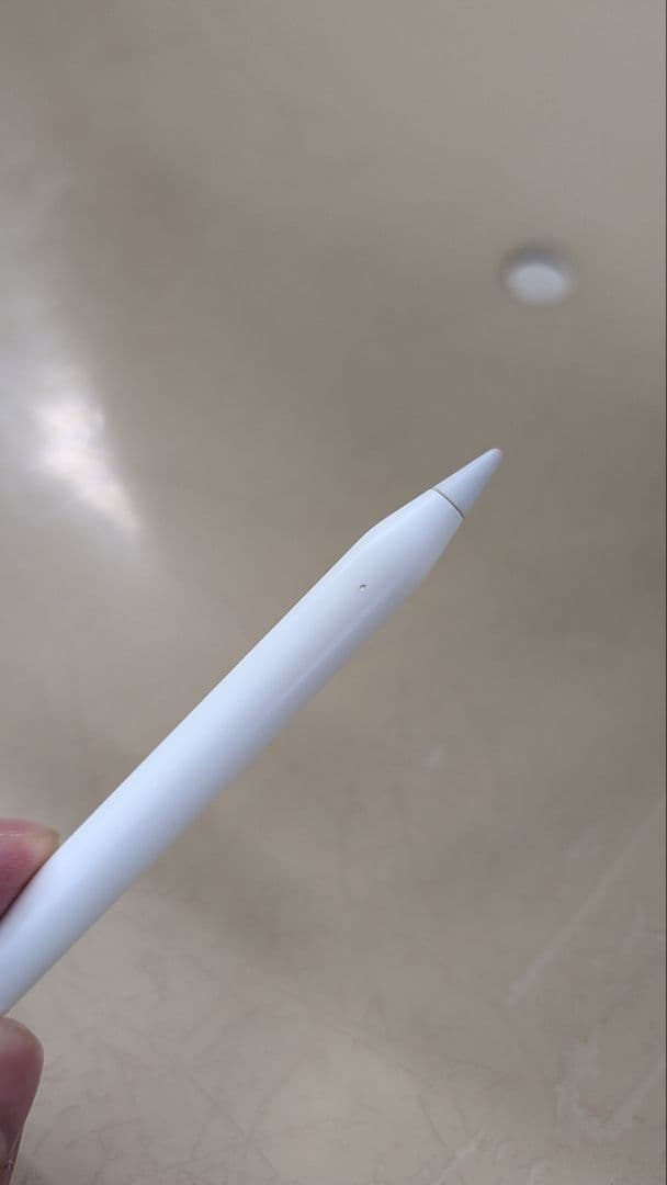 Apple Pencil type-C カバー付き