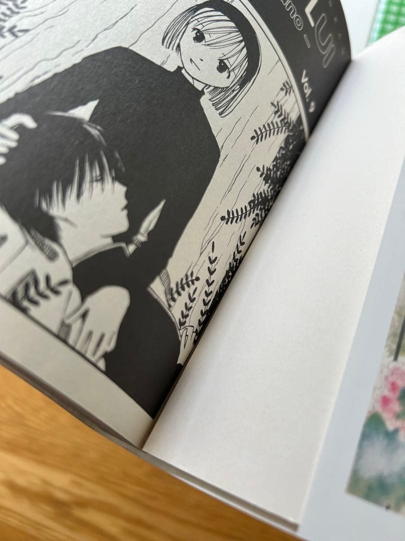 ELLE et LUI 彼氏彼女の事情　フランス語版漫画　1〜21巻　津田雅美