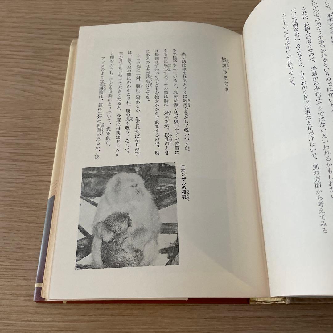 わたしの動物記 増井光子　ポプラ社