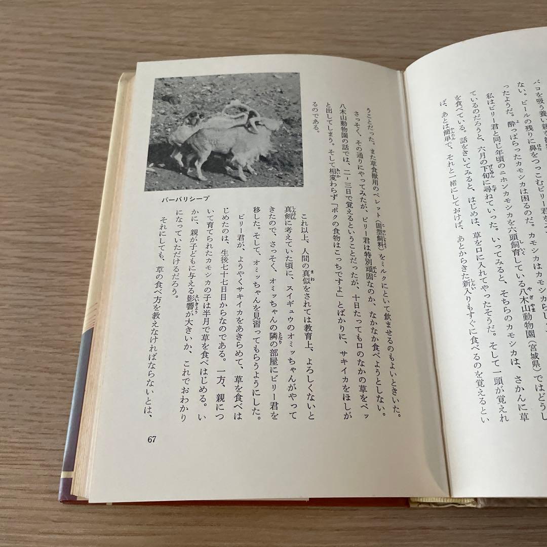 わたしの動物記 増井光子　ポプラ社