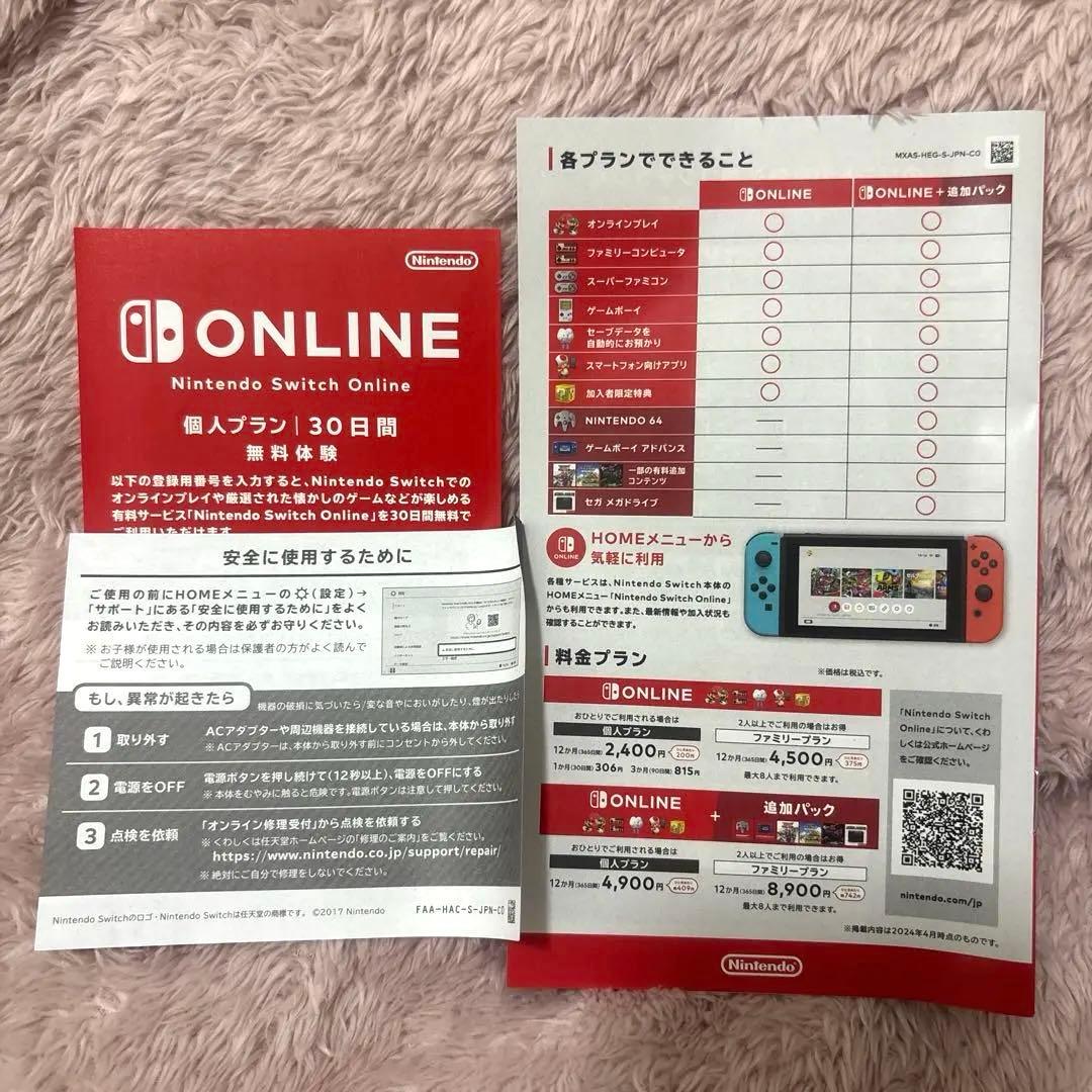 Nintendo SwitchLite 任天堂スイッチライト ターコイズ充電器付