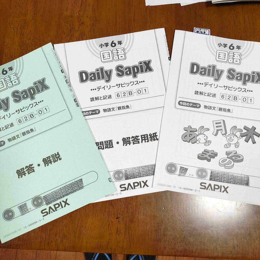 サピックス　SAPIX 小学6年 国語　デイリー　サマー　ウィンター など