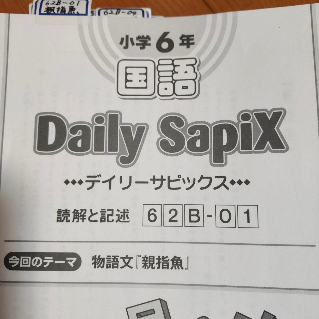 サピックス　SAPIX 小学6年 国語　デイリー　サマー　ウィンター など