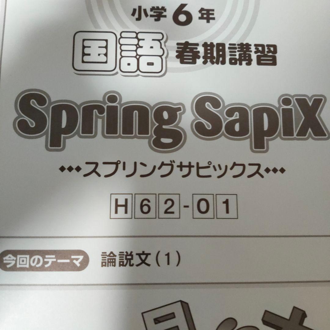 サピックス　SAPIX 小学6年 国語　デイリー　サマー　ウィンター など
