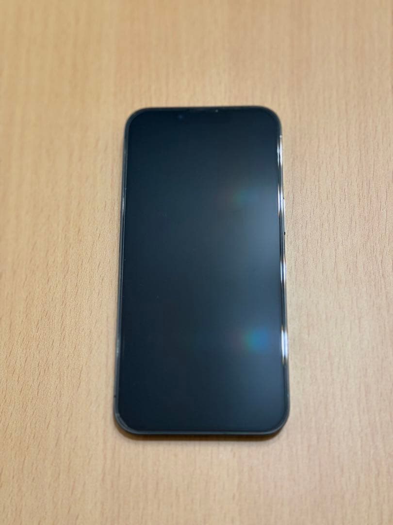 iPhone 13 Pro 128GB 無音カメラ