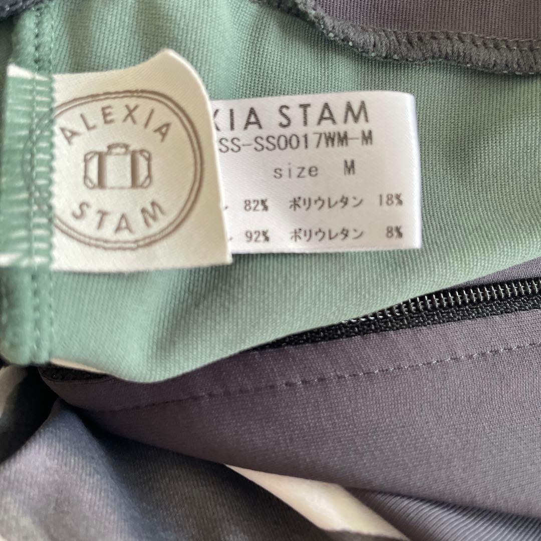 ALEXIA STAM ゼブラ柄長袖水着サーフスーツ