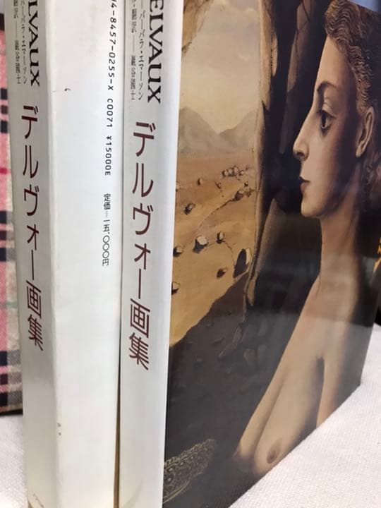 デルヴォー画集　DELVAUX バーバラ・エマーソン　巖谷國士　美品函付