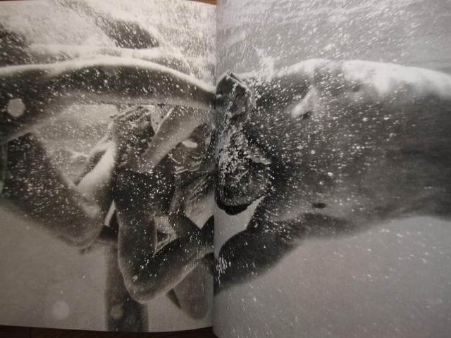 Chasing Beauty　Richard Phibbs　サイン入り