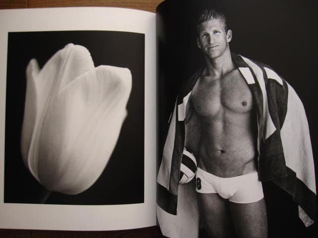 Chasing Beauty　Richard Phibbs　サイン入り