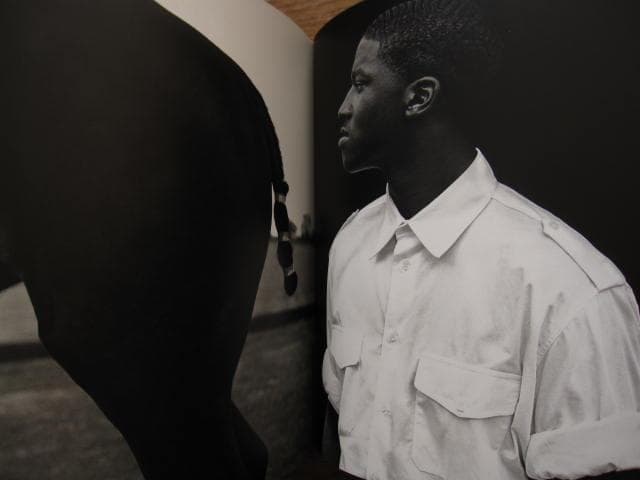 Chasing Beauty　Richard Phibbs　サイン入り