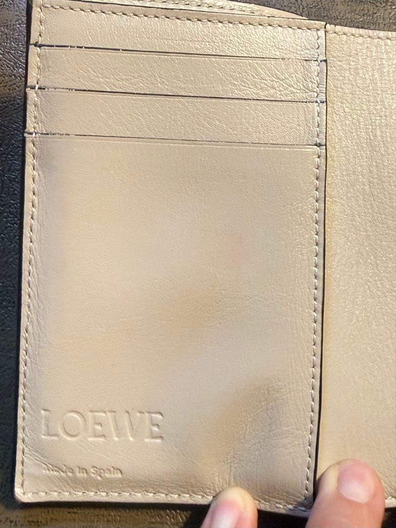 LOEWE 二つ折り財布 ライトグリーン