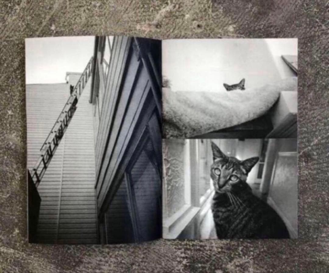 絶版‼️ Dennis McGrath 写真集 150部　SUPREME