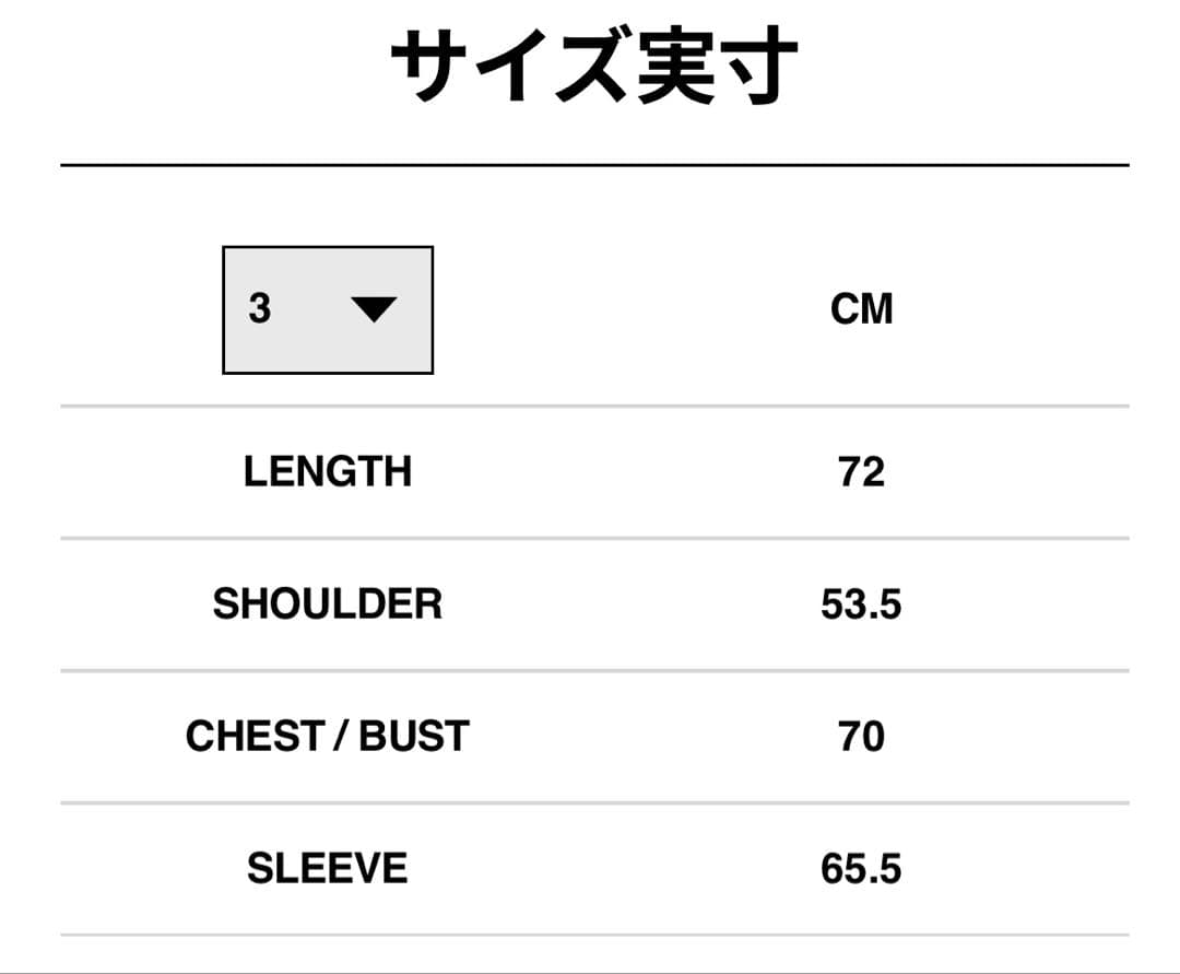 sacai Carhartt WIP Duck Jacket サイズ3