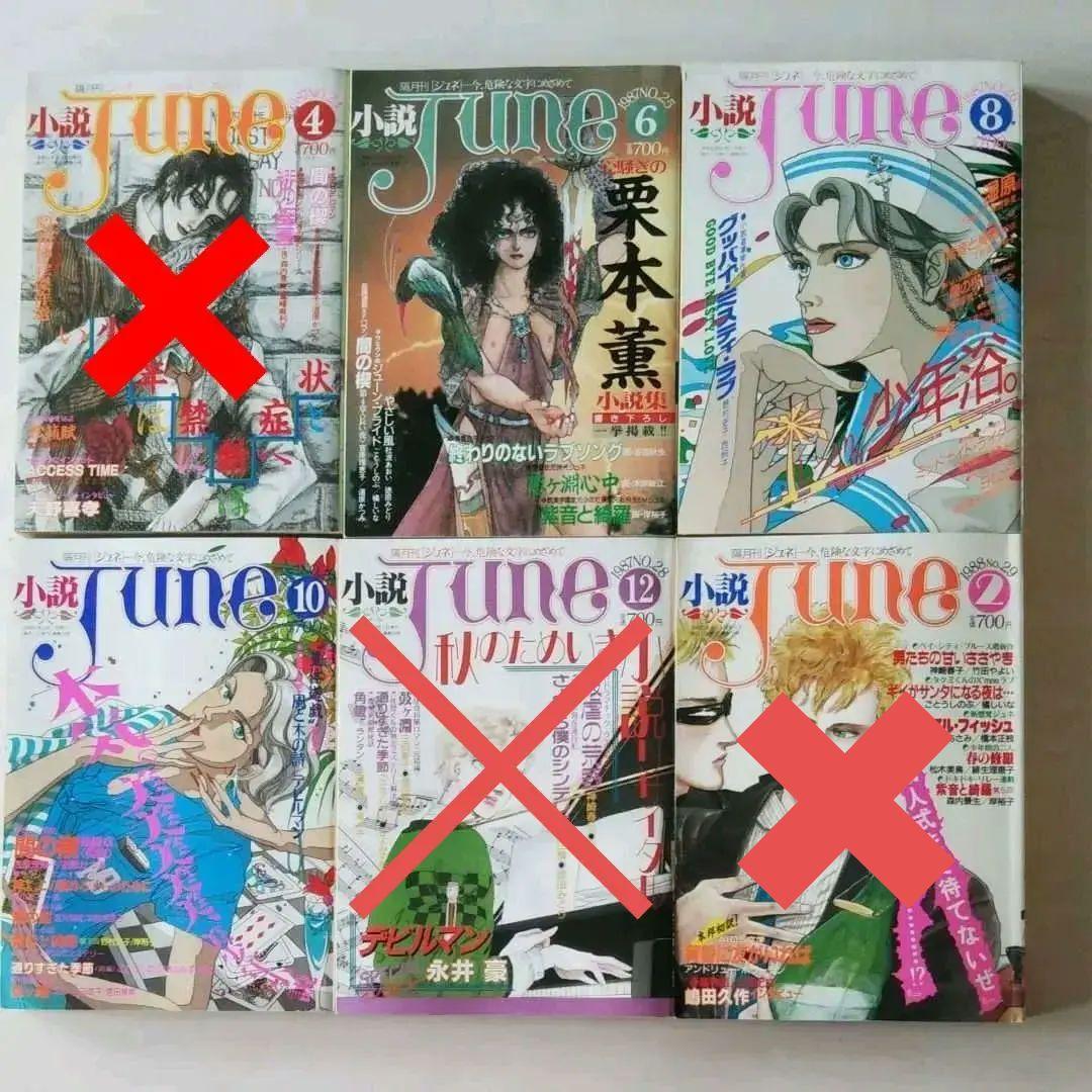 小説JUNE 1985～1989年11冊セット