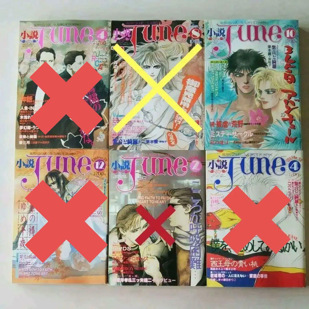 小説JUNE 1985～1989年11冊セット