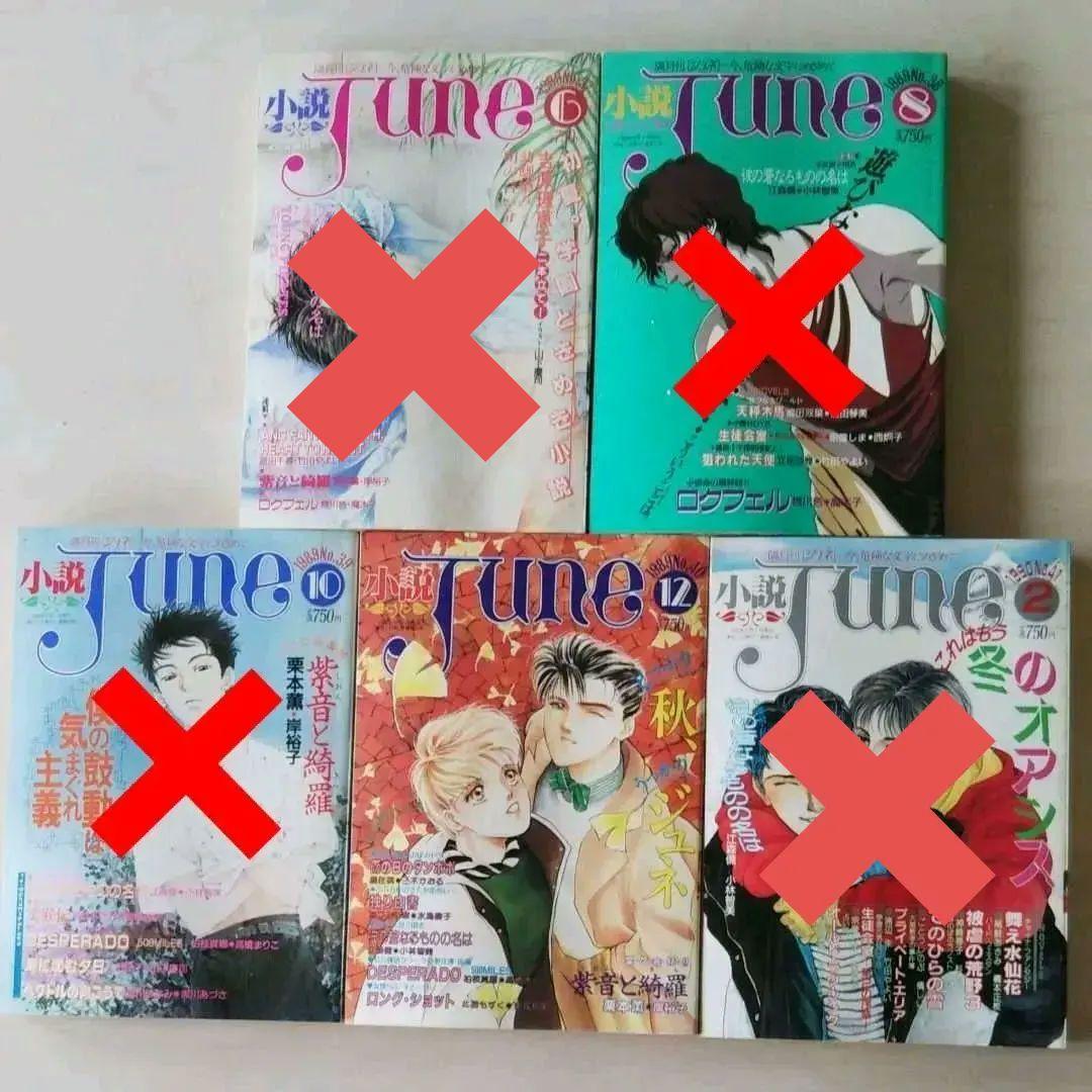 小説JUNE 1985～1989年11冊セット