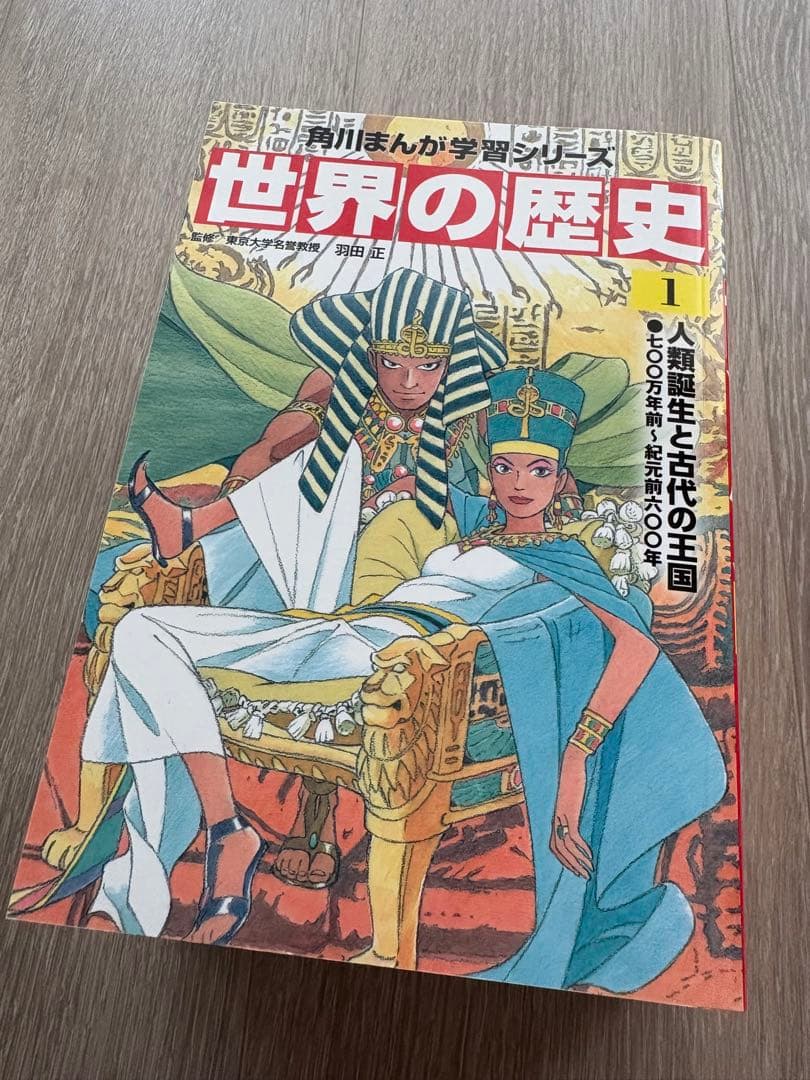 世界の歴史 全20巻セット　角川まんが学習シリーズ