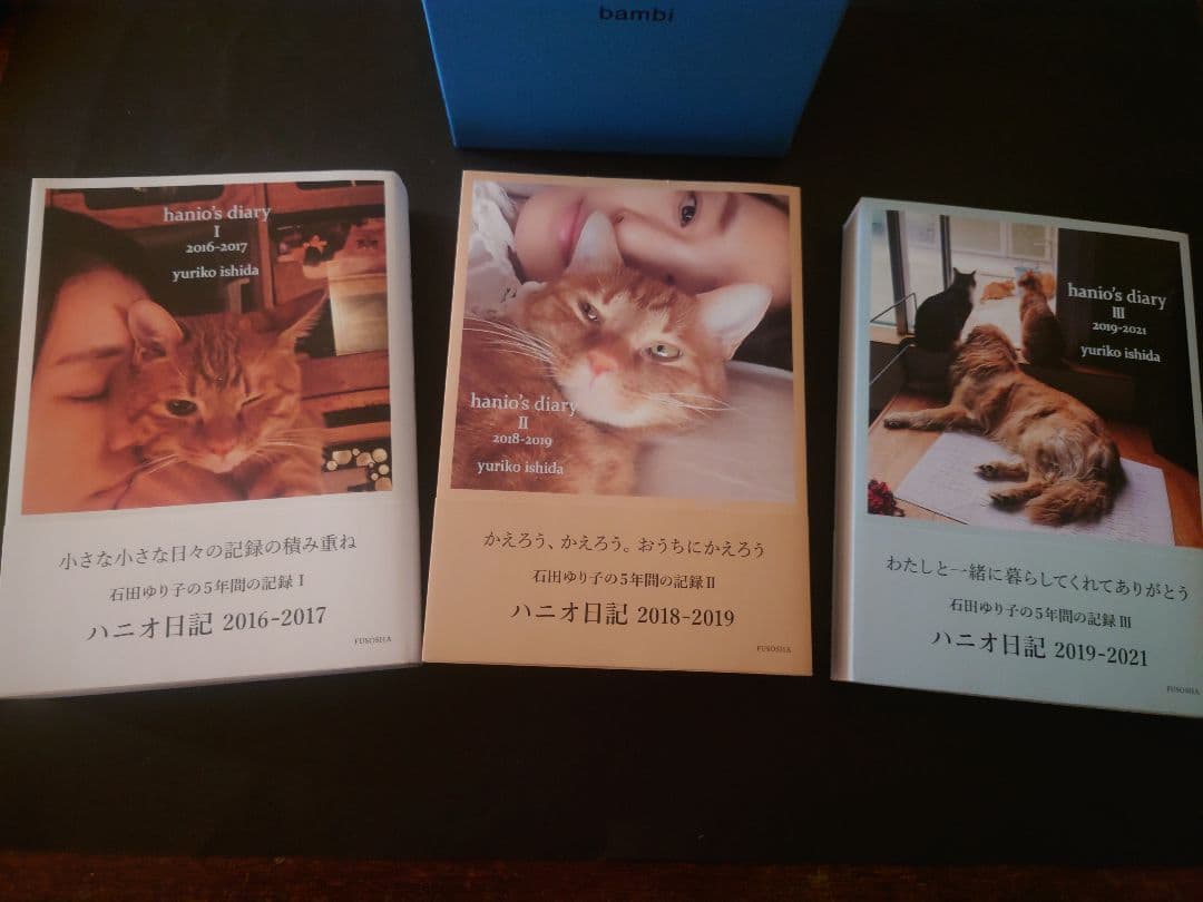 【新品·美品】ハニオ日記　3冊セット　石田ゆり子　専用箱付き