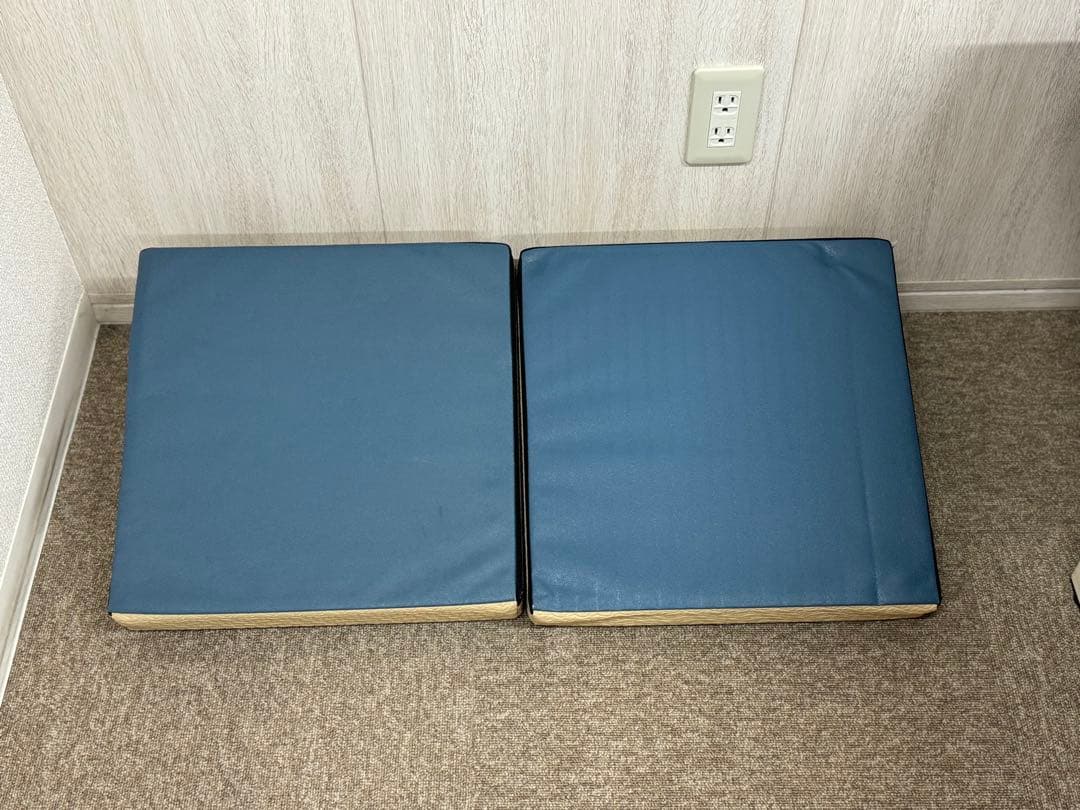 サンテプラス　フレックスクッション　Flexcushion　ベージュ　2セット