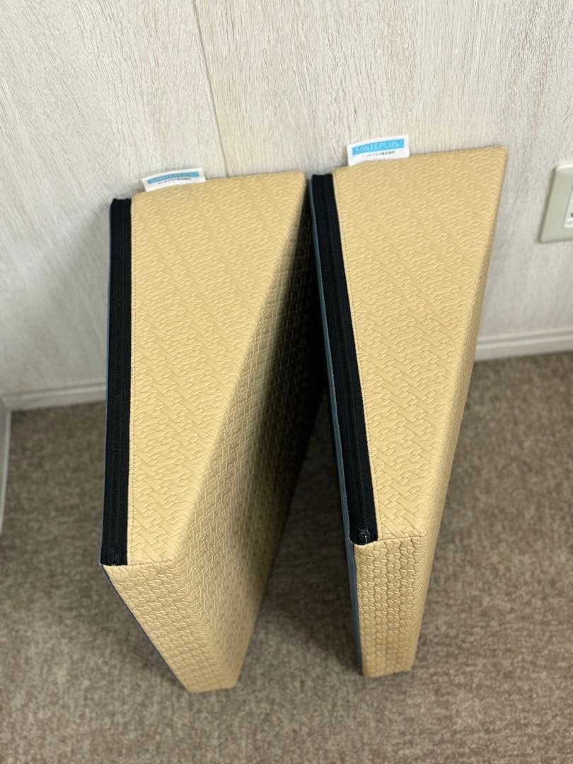 サンテプラス　フレックスクッション　Flexcushion　ベージュ　2セット