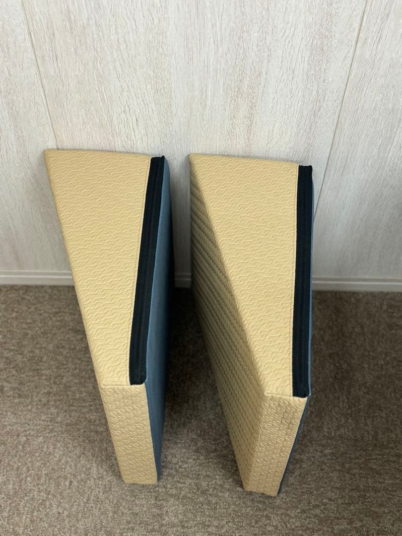 サンテプラス　フレックスクッション　Flexcushion　ベージュ　2セット