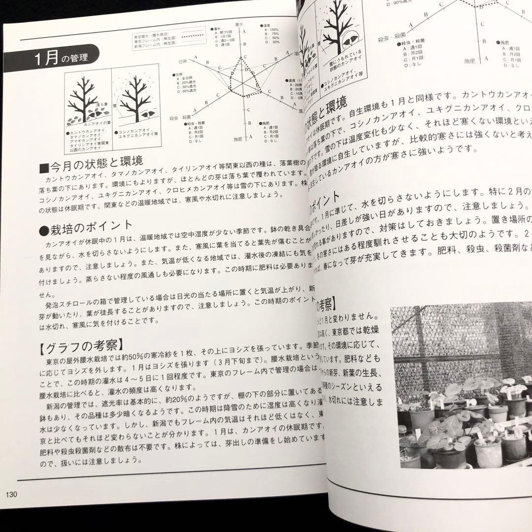 【絶版】「人気の斑入りカンアオイ・斑入り山野草 Vol.2」千早書房